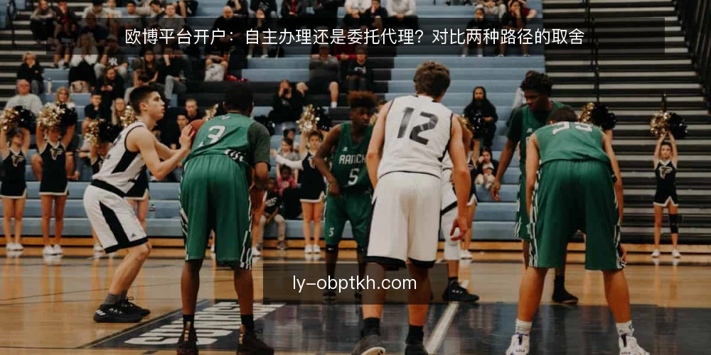 欧博平台开户:自主办理还是委托代理?对比两种路径的取舍 — 为什么现在需要重新评估开户方式 配图