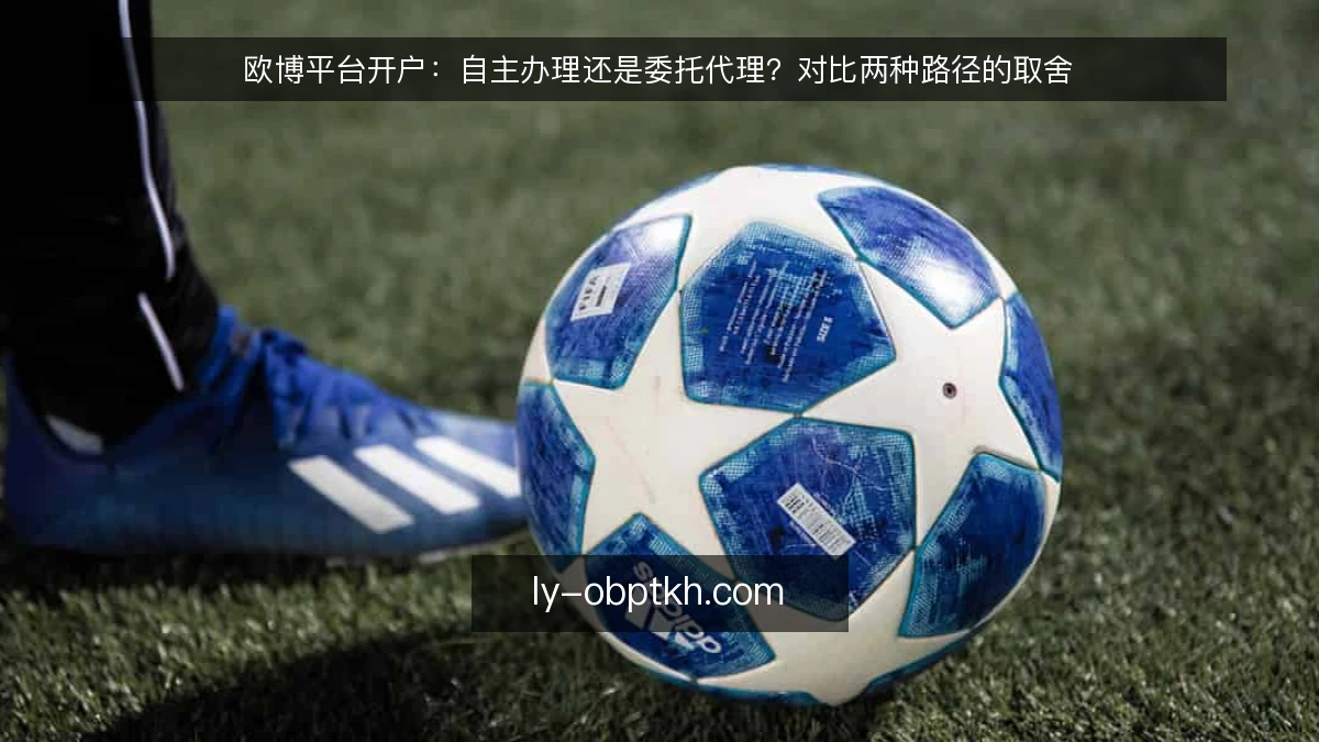 欧博平台开户：自主办理还是委托代理？对比两种路径的取舍